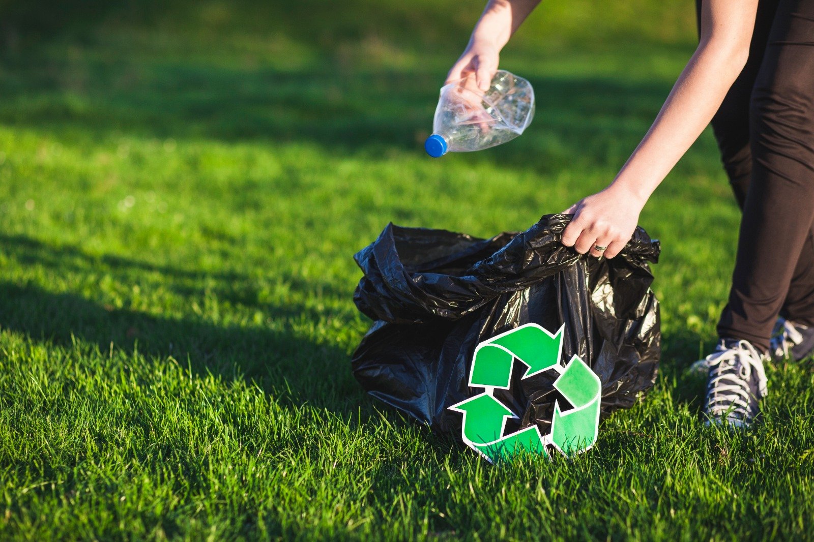 Waste Management Services