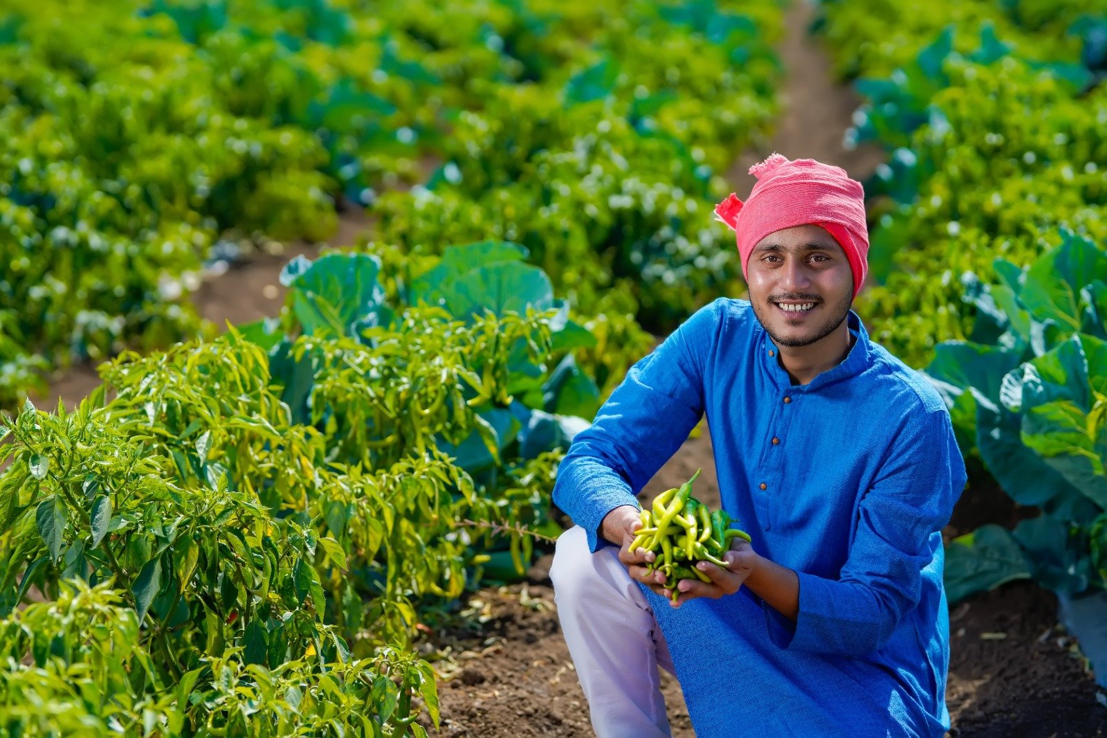 Horticulture Services