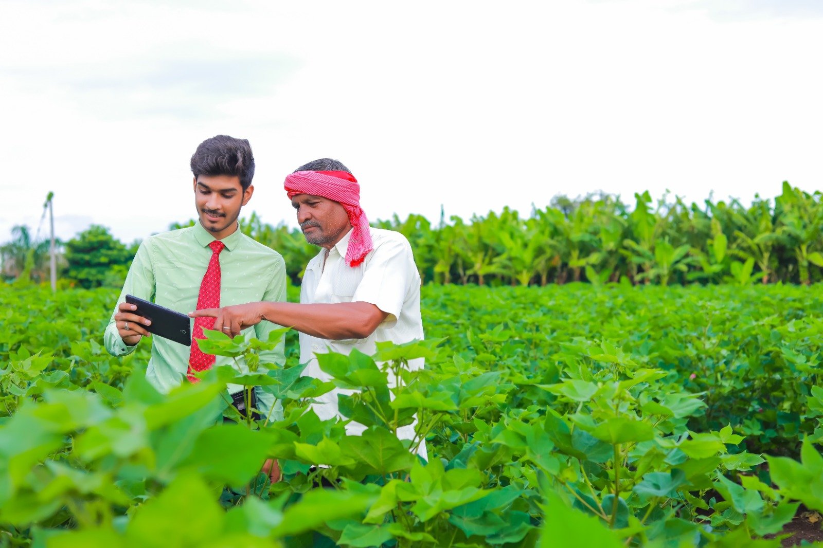Horticulture Services India